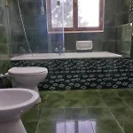 Erminia Vila Mesagne