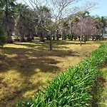 Erminia Vila *
