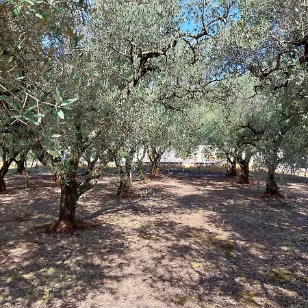 Vila Erminia *