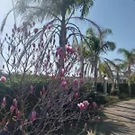 Erminia Villa *